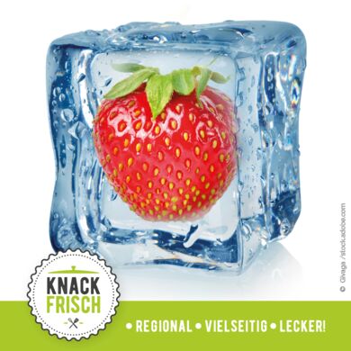 knackfrisch-Tipp: Eiswürfel mit gefrorenem Obst